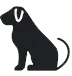 pet_icon